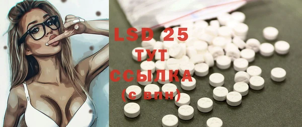 прущие грибы Алексеевка