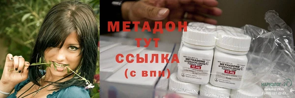 прущие грибы Алексеевка