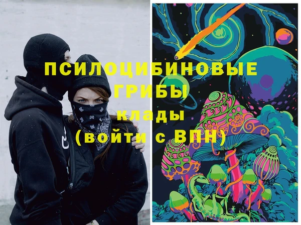 прущие грибы Алексеевка