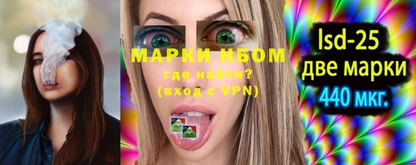 прущие грибы Алексеевка