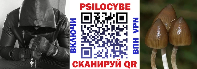 наркотики Чадан Галлюциногенные грибы мухоморы